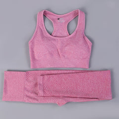 2/3PCS Seamless Women Workout Sportswear